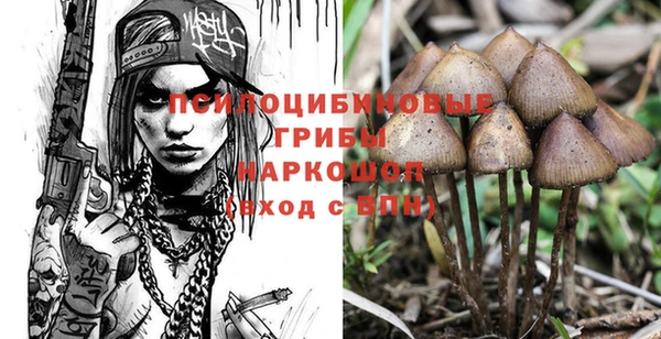 PSILOCYBIN Нея