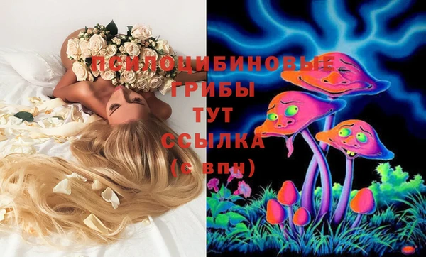 PSILOCYBIN Нея
