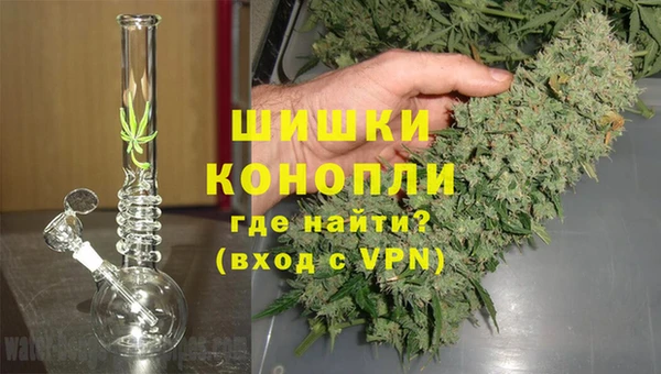 PSILOCYBIN Нея