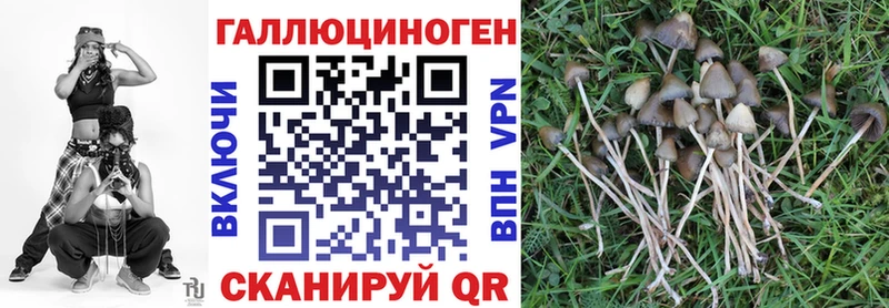 Псилоцибиновые грибы Magic Shrooms  где найти   Эртиль 